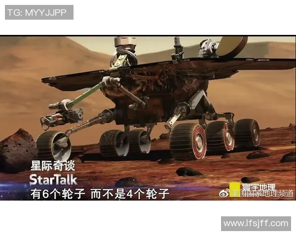 从巅峰到深渊自甘坠落的足球明星背后的悲剧与反思